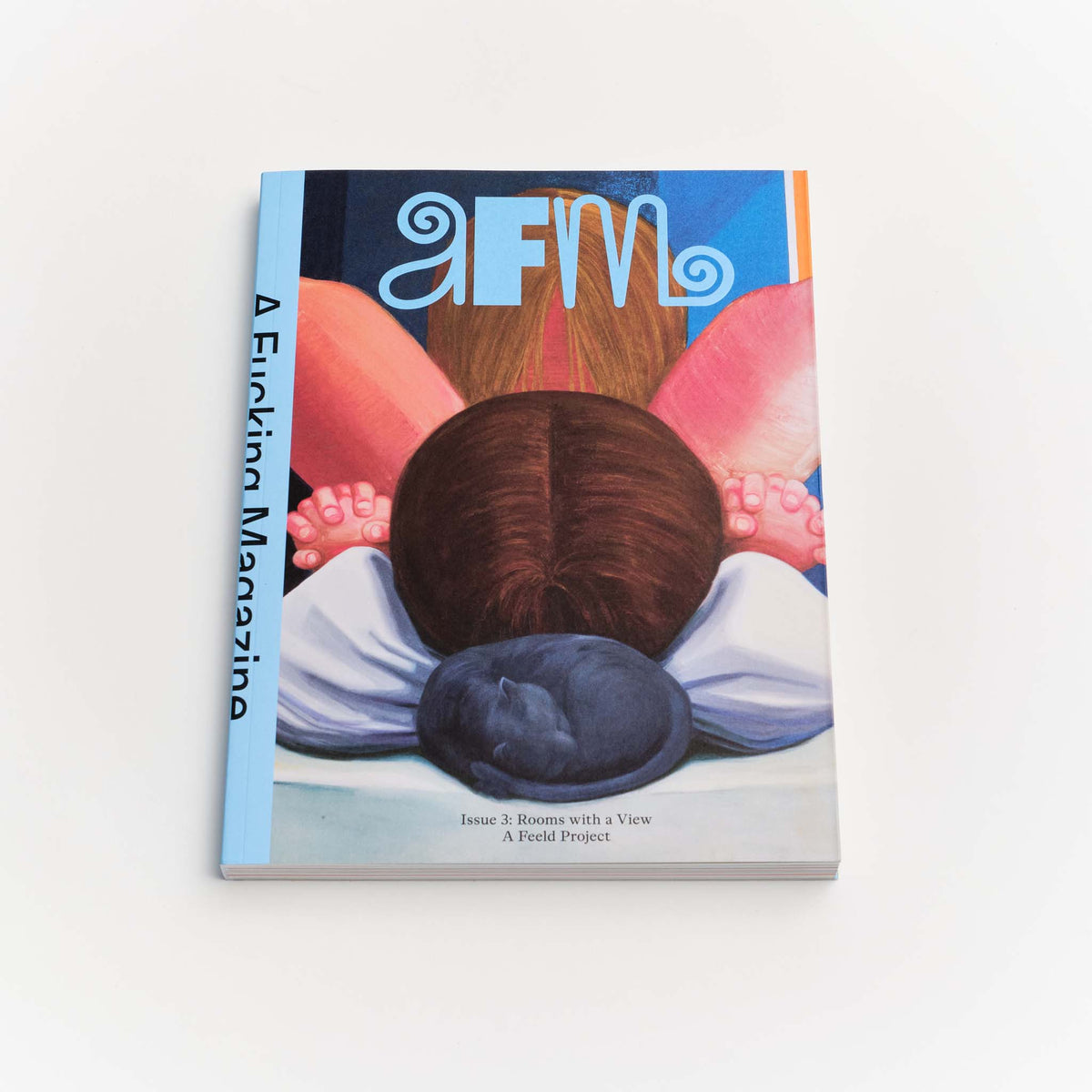 Issue 3: Rooms with a View — Nicole Eisenman, Is it So (2014)