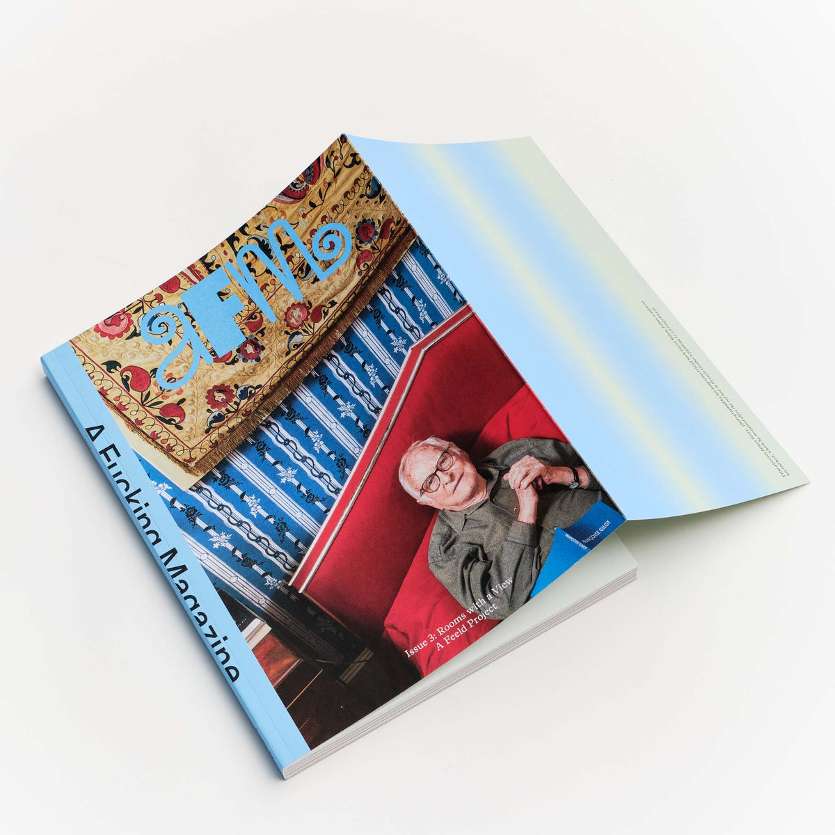 Issue 3: Rooms with a View — James Ivory photographed by Seth David Rubin