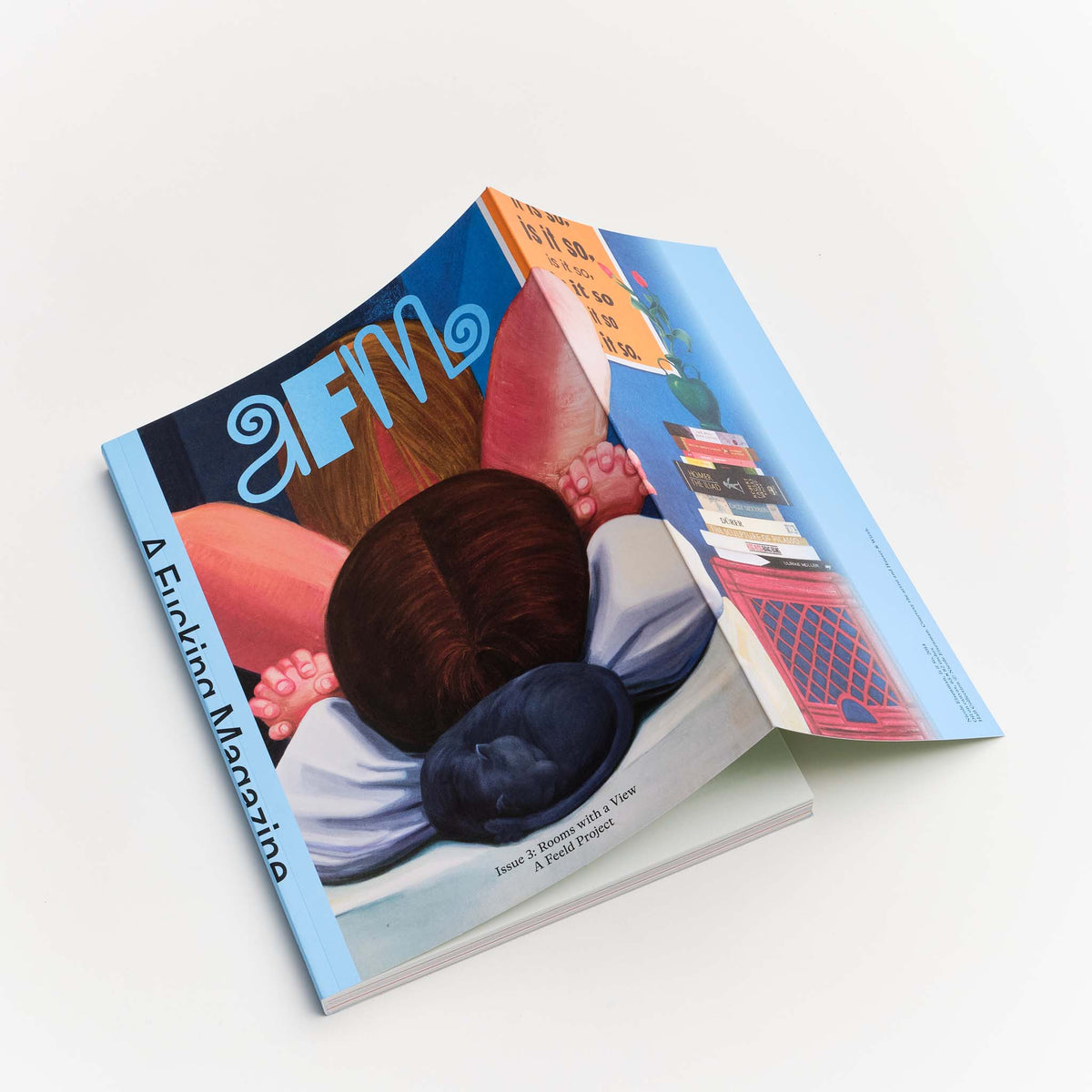 Issue 3: Rooms with a View — Nicole Eisenman, Is it So (2014)