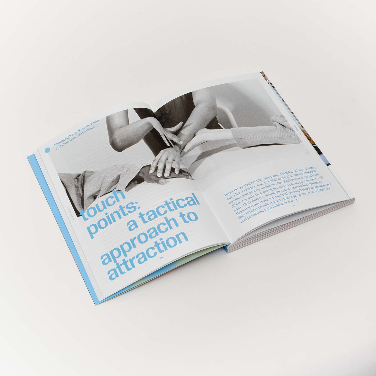 Issue 3: Rooms with a View — Nicole Eisenman, Is it So (2014)