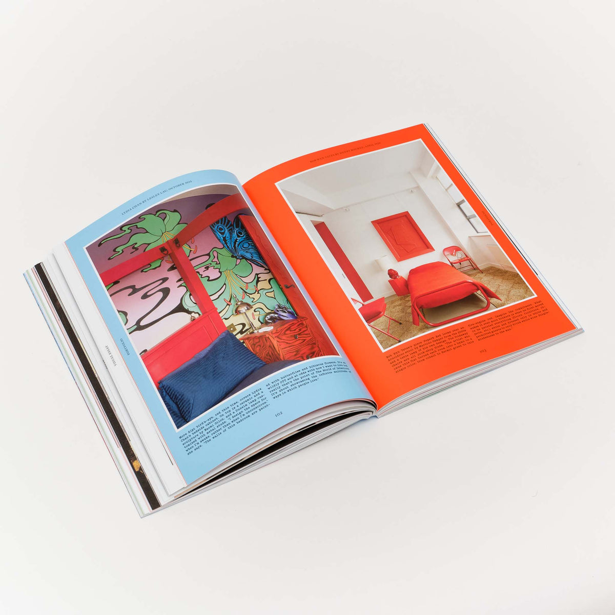 Issue 3: Rooms with a View — Nicole Eisenman, Is it So (2014)