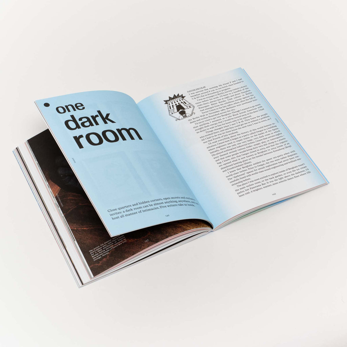 Issue 3: Rooms with a View — Nicole Eisenman, Is it So (2014)