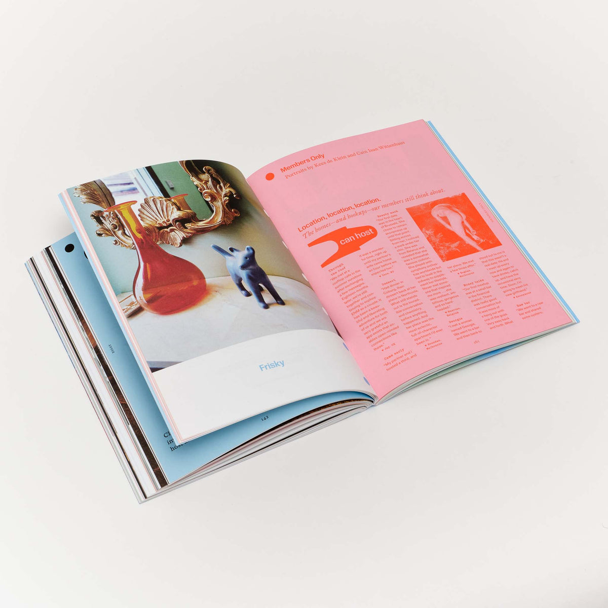 Issue 3: Rooms with a View — Nicole Eisenman, Is it So (2014)