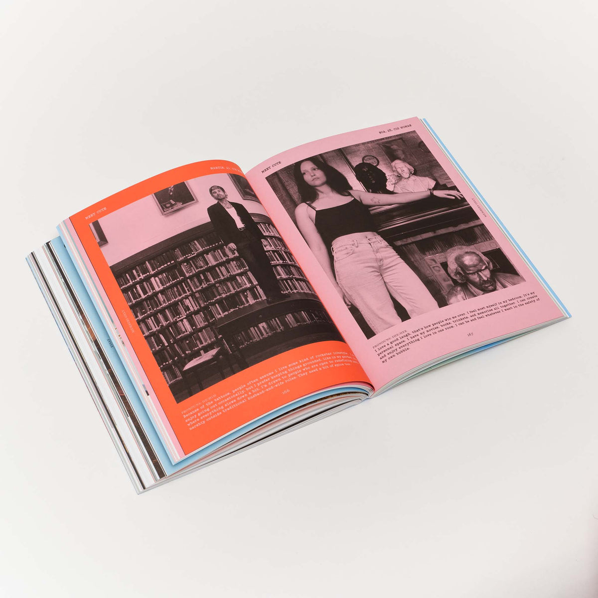 Issue 3: Rooms with a View — Nicole Eisenman, Is it So (2014)