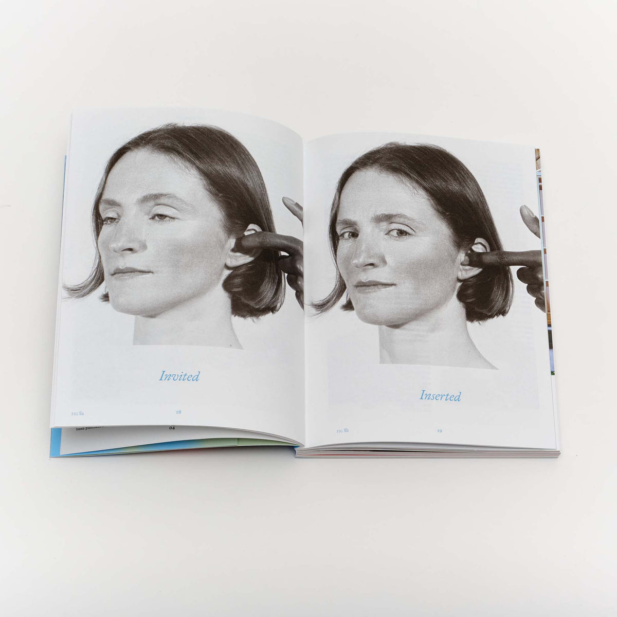 Issue 3: Rooms with a View — Nicole Eisenman, Is it So (2014)