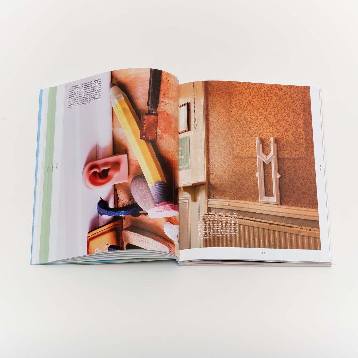 Issue 3: Rooms with a View — Nicole Eisenman, Is it So (2014)