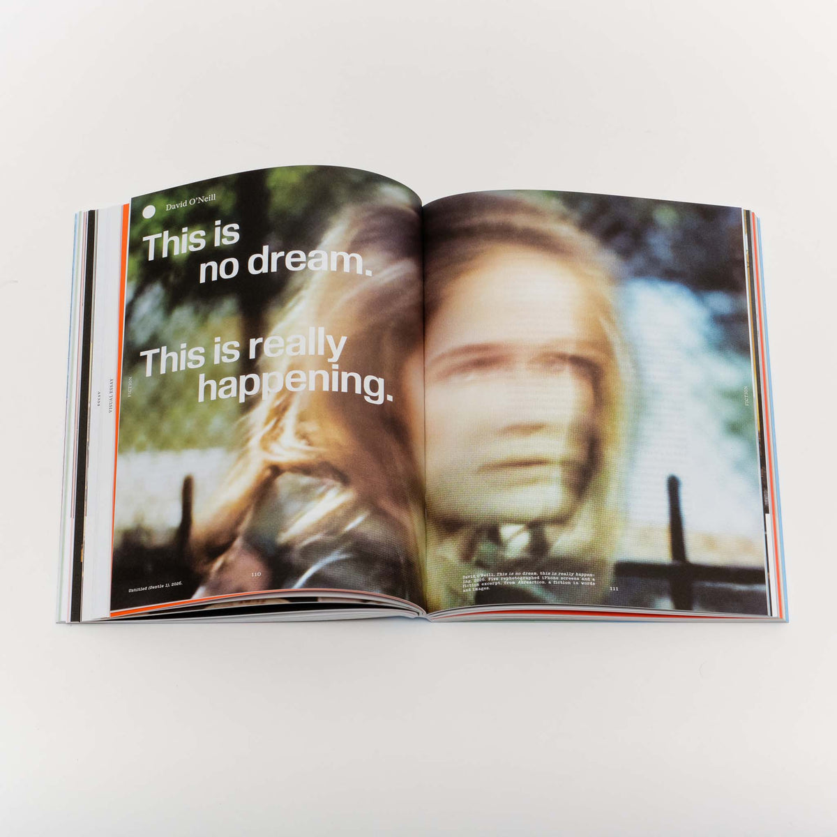 Issue 3: Rooms with a View — Nicole Eisenman, Is it So (2014)