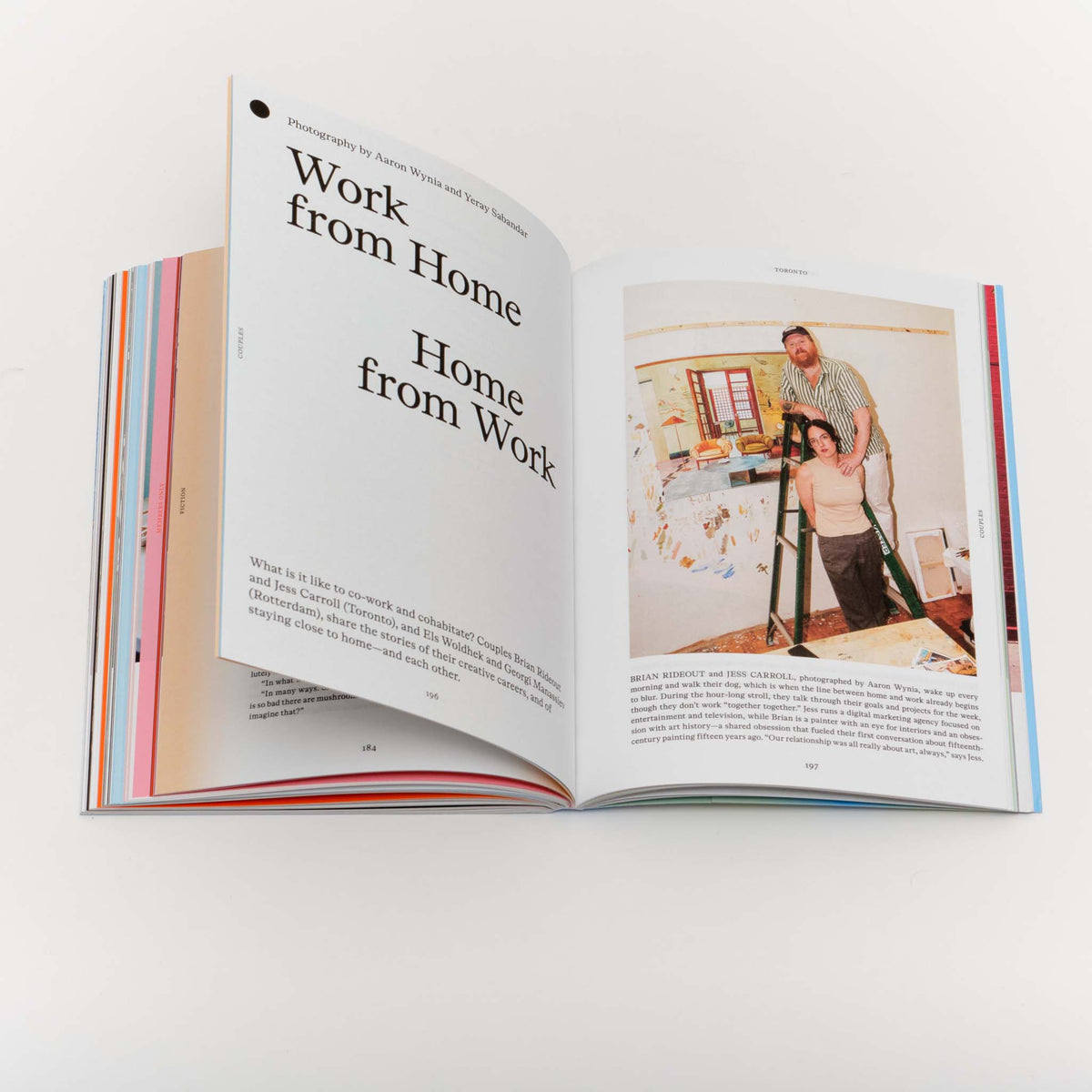 Issue 3: Rooms with a View — Nicole Eisenman, Is it So (2014)